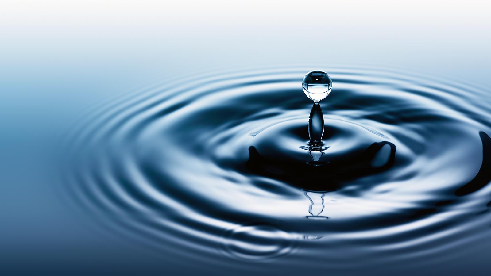 THE WATER THAT CHANGED A CITY