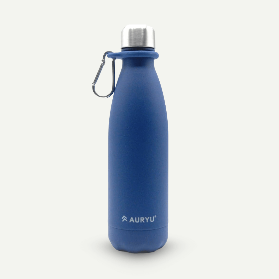 Triple-Walled Insulated Stainless Steel Water Bottle with Bonus Handle, 17oz, Drinks Cold for 24h & Hot for 12h, Leak Proof, Navy Blue